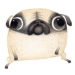 Bill Carmen-Pug